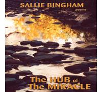 Sallie Bingham Hub of the Miracle Paperback Book Sallie Bingham Multicolor