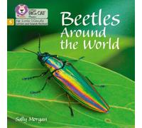 Sally Morgan Beetles Around the World Paperback Book Sally Morgan Multicolor