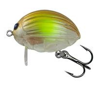 Salmo Floating Lil Bug 3cm Clear AYU QBG021