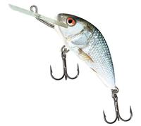 Salmo Hornet Floating | Plug | Real Dace | 5cm