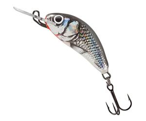 Salmo Hornet H3 HGS holo