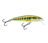 Salmo Lure minnow SNK 5 cm