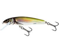 Salmo Minnow Wobbler Lure Bait for pike, zander, Perch Trout, Pike Lures, Pike Lures, Barschwobbler, Trout Lure, Holo Bleak