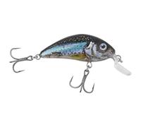 Salmo Wobbler Rattlin Hornet Shallow Clear Holo Smelt 3.5 cm