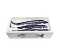 Salmon Box XL - Premium Extra Large Salmon (20 Units)