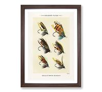 Salmon Fishing Flies Version 1 by Mary Orvis Marbury Framed Print | A2 Walnut Framed Wall Art | Ready to Hang | Modern Animal Picture | Living Room Bedroom Lounge Office