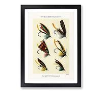 Salmon Fishing Flies Version 2 by Mary Orvis Marbury Framed Print | A2 Black Framed Wall Art | Ready to Hang | Modern Animal Picture | Living Room Bedroom Lounge Office