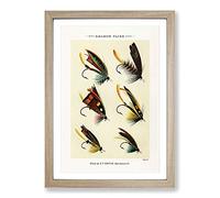 Salmon Fishing Flies Version 2 by Mary Orvis Marbury Framed Print | A2 Oak Framed Wall Art | Ready to Hang | Modern Animal Picture | Living Room Bedroom Lounge Office
