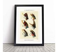Salmon Fishing Flies Version 3 by Mary Orvis Marbury | Framed Wall Art Print | Modern Home Decor Picture | Ready to Hang Artwork for Living Room, Bedroom, Kitchen or Office | Multiple Sizes