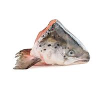 Salmon Head x 5 (500gr) | Fish and Seafood Seasoning Set Included