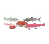 Salmon Life Cycle Model Educational Toy for Children Above 3 Years,Realistic Marine Growth Cycle Model for School Projects