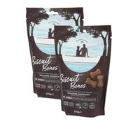 Salmon With Rice Biscuit Bones Dog Treats 225g x Pack of 2 - Hypoallergenic, Single Source Protein Treats, Gentle on Digestion - Contains Salmon Oil for Skin, Coat Health