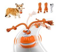 Salodal Peppy Pet Ball for Dogs - Interactive Motion Activated Rolling Ball for Puppies/Small Dogs, Automatic Moving Toy, USB Rechargeable