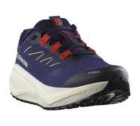 Salomon Aero Blaze 3 Grvl Running Shoes