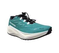 Salomon Aero Blaze 4 Gore-tex® Gravel Running Shoes Green EU 42 Woman
