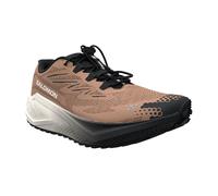 Salomon Aero Blaze 4 Gravel Running Shoes Brown EU 42 Men