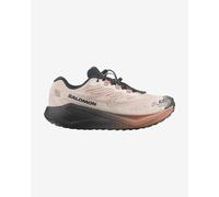 Salomon Aero Blaze 4 Grvl GORE-TEX shoes beige black - 8UK