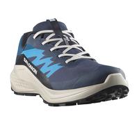 Salomon Alphaglide Gore-tex® Trail Running Shoes Blue EU 44 2/3 Men