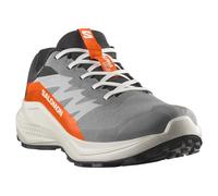 Salomon Alphaglide Gore-tex® Trail Running Shoes Grey EU 42 Men