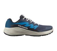 Salomon Alphaglide Goretex Trail Running Shoes Blue EU 42 Men