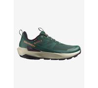Salomon Elixir Activ Gore-tex® Hiking Shoes Green EU 42 2/3 Men