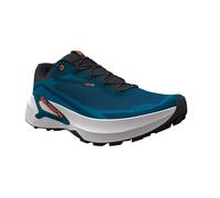 Salomon Genesis 2 Gore-tex® Trail Running Shoes Blue EU 44 Men