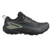 Salomon Genesis Goretex Trail Running Shoes Black EU 46 2/3 Man