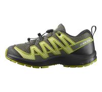 Salomon Xa Pro V8 Hiking Shoes