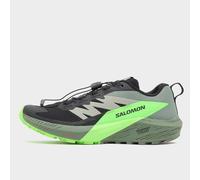 Salomon Men's Sense Ride 5 Trail Running Shoes, Green 9