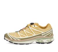 Salomon Men's XT-6 GTX Antelope/Icicle/Portabella