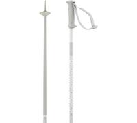 Salomon Polar Access Poles