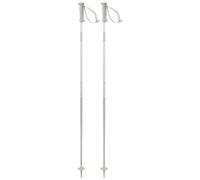 Salomon - Polar Access White - 100 - Poles