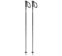 Salomon Polar Poles Silver 125 cm