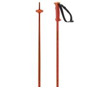 Salomon - Polar Cherry Tomato - 130 - Poles