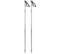 Salomon Polar Poles Silver 120 cm