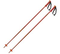 Salomon Polar Poles