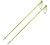 Salomon Polar Poles Clear 130 cm