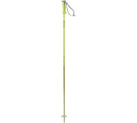 Salomon Polar Poles Clear 125 cm