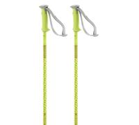 Salomon Polar Poles