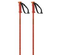 Salomon Polar Poles