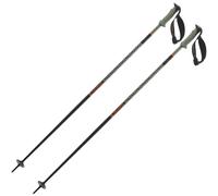 Salomon Polar Pro S3 Poles