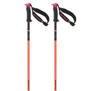 Salomon Polar Pro S3 Poles