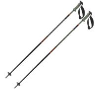 Salomon Polar Pro S3 Poles