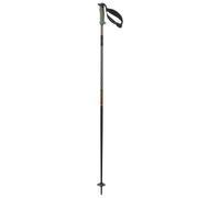 Salomon - Polar Pro S3 - Ski poles size 130 cm, green
