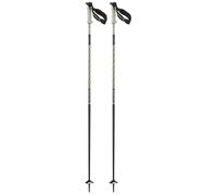 Salomon Polar Pro S3 Poles Silver 105 cm
