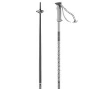 Salomon Polar Poles Silver 125 cm