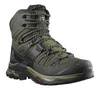 Salomon Quest 4 Goretex Hiking Boots Green,Black EU 42 2/3 Men