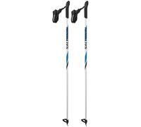 Salomon R 20 Junior Poles Silver 120 cm