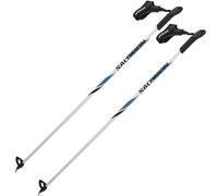 Salomon R 20 Junior Poles Silver 110 cm Kids