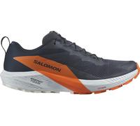 Salomon Sense Ride 5 GORE-TEX Mens Trail Running Shoes Grey Waterproof GTX Run